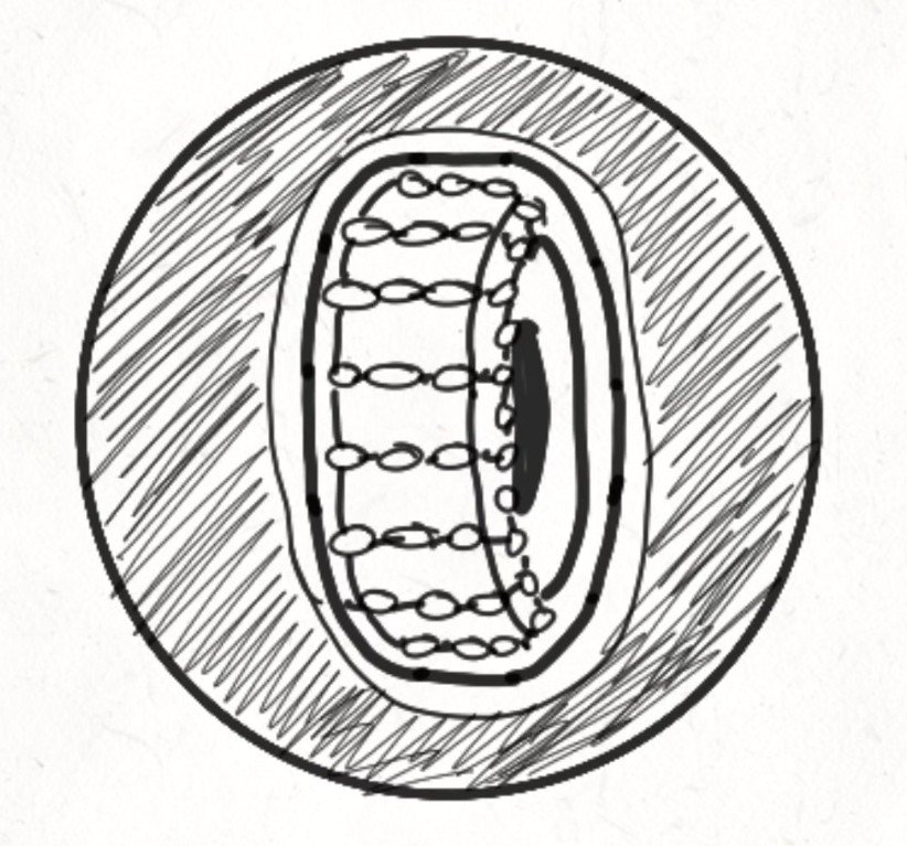 split tyre